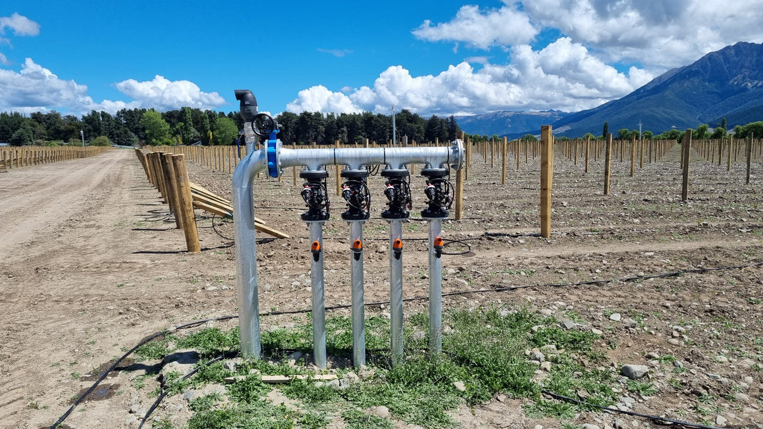 50 Hectares Vineyard Drip Irrigation Project